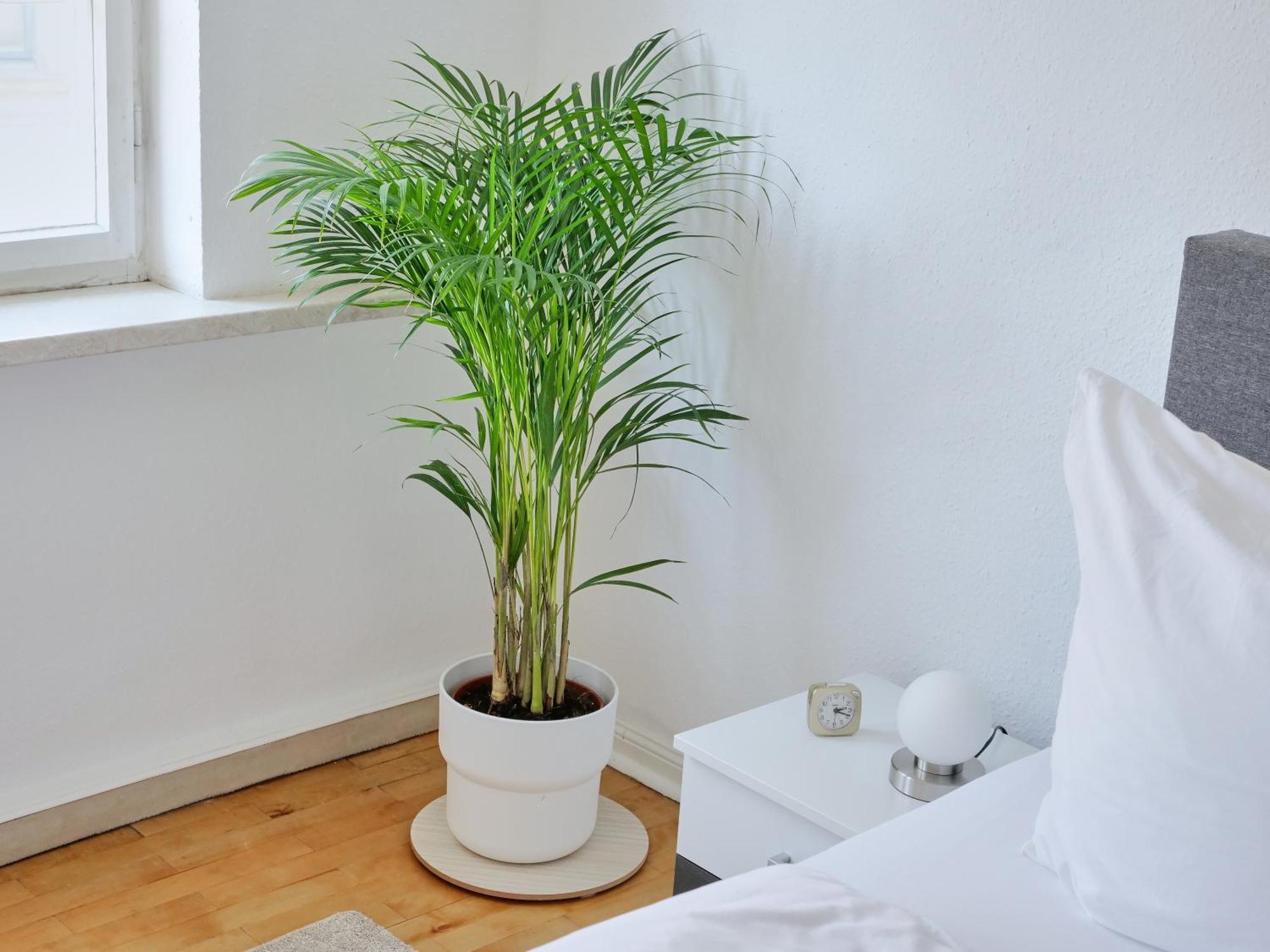 Appartement Dom III - Erfurt Domplatz Luaran gambar